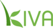 Kiva
